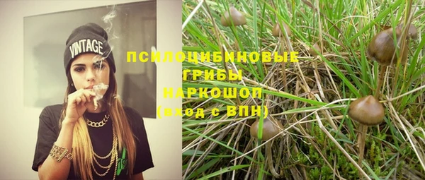 эйфоретик Армянск