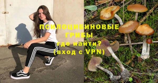 MESCALINE Алзамай