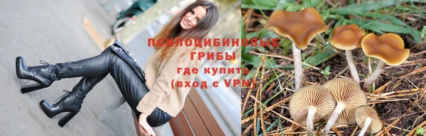 прущая мука Аркадак