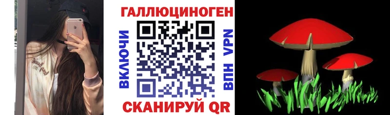 Псилоцибиновые грибы Magic Shrooms  mega маркетплейс  Светлоград 