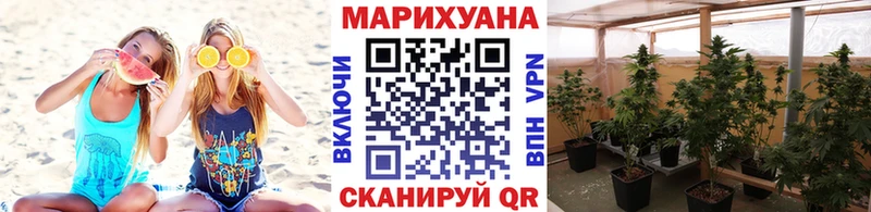 Шишки марихуана Amnesia  купить закладку  Светлоград 